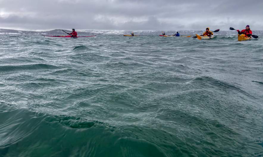 fellow-paddlers-2