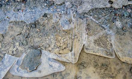 Frozen puddle on the way back