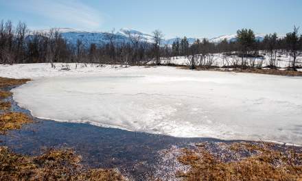 Snow check today III