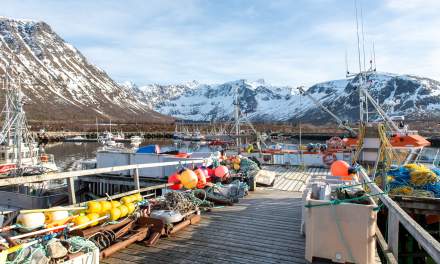 Tromvik harbour II