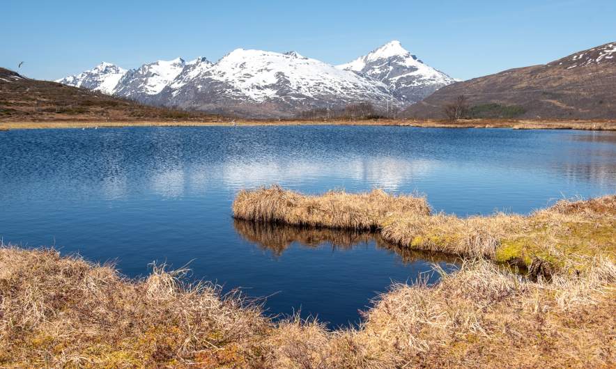 Lomvatnet, Eidkjosen