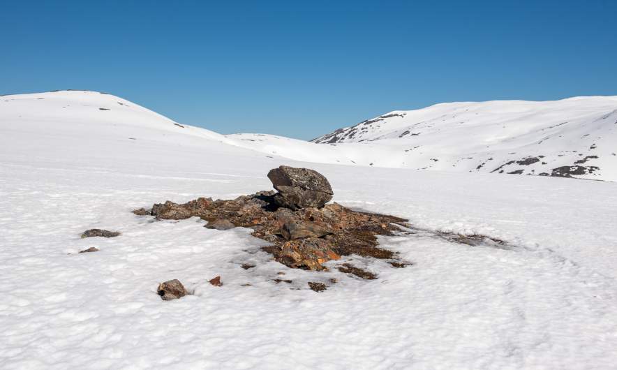 Rocky island in the snow fields