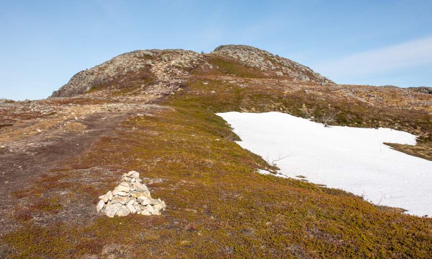 Snow field I