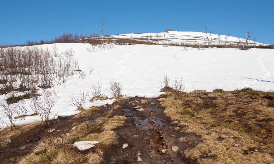 The first snow field