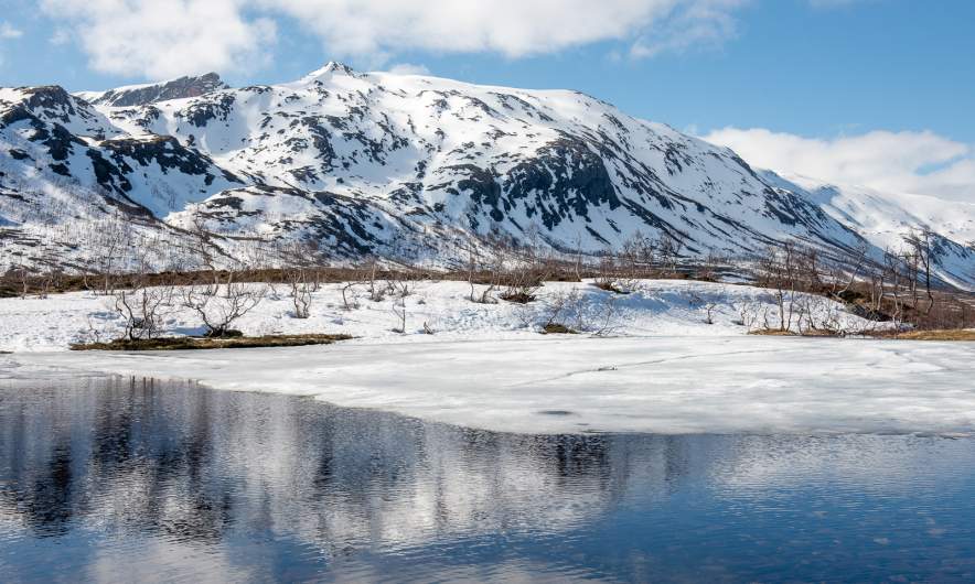 Many ponds are halfway covered with ice