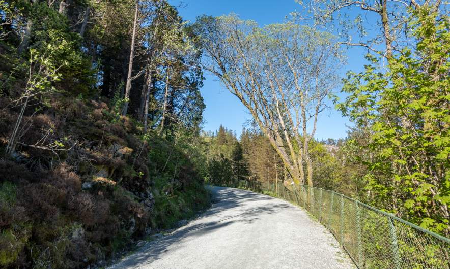 A wide hiking trail I