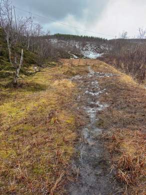 Way, paths, tracks and trails XI