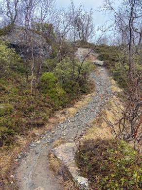 Way, paths, tracks and trails XIII