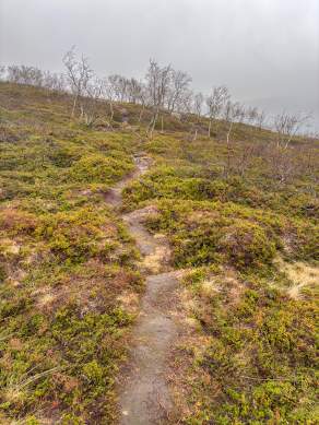Way, paths, tracks and trails XVI