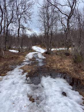 Way, paths, tracks and trails II