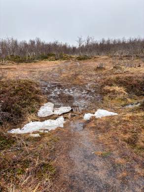 Way, paths, tracks and trails IV