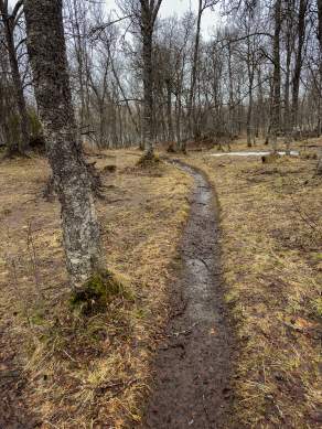 Way, paths, tracks and trails V