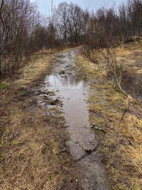 Way, paths, tracks and trails VI
