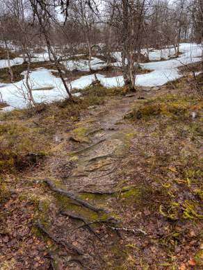 Way, paths, tracks and trails VII