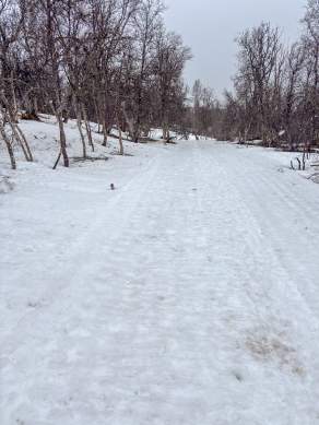 Way, paths, tracks and trails VIII