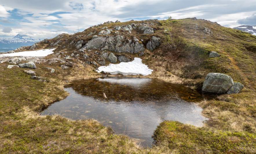 A small pond