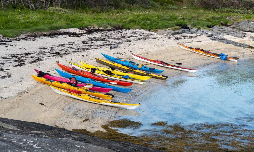 Eleven kayaks at the beach