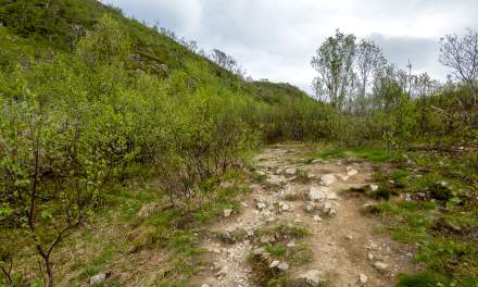 Hiking trail