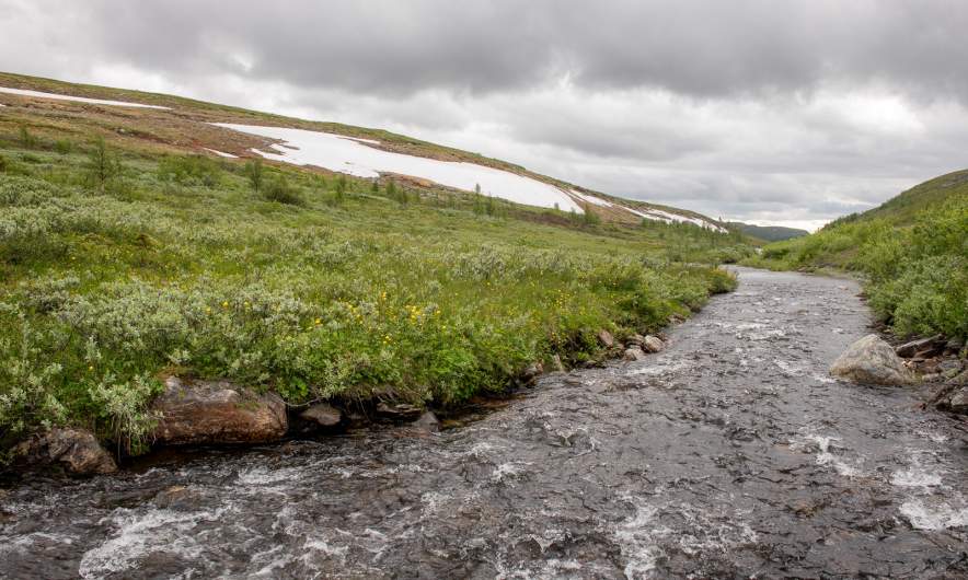 Mountain stream
