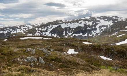 Mountainscape I