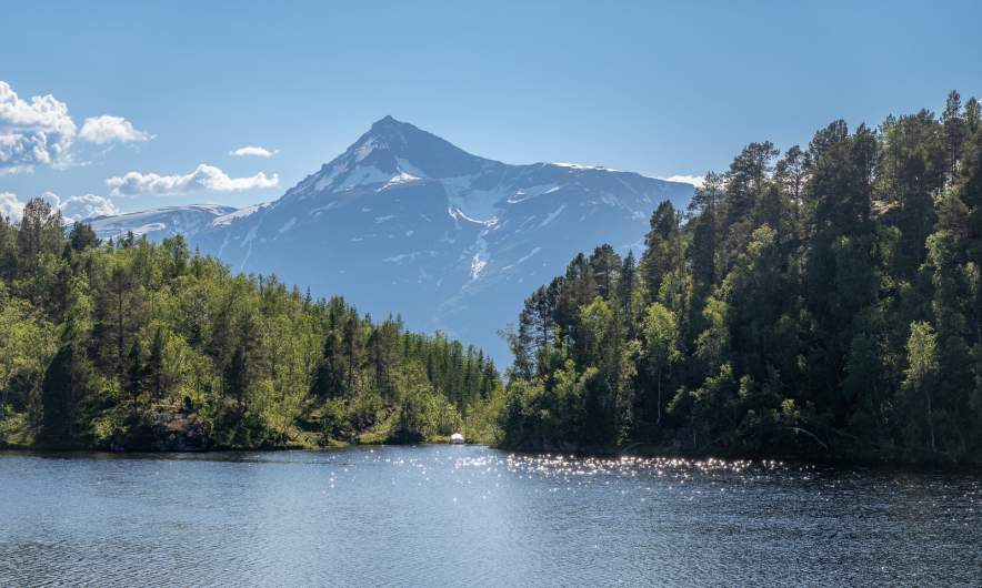 Nikkavatnet I