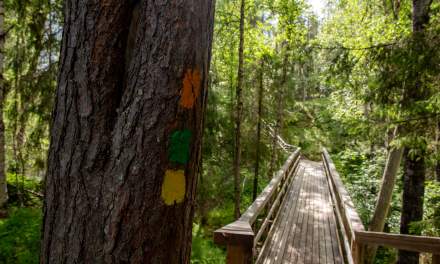 Oulanka National Park I