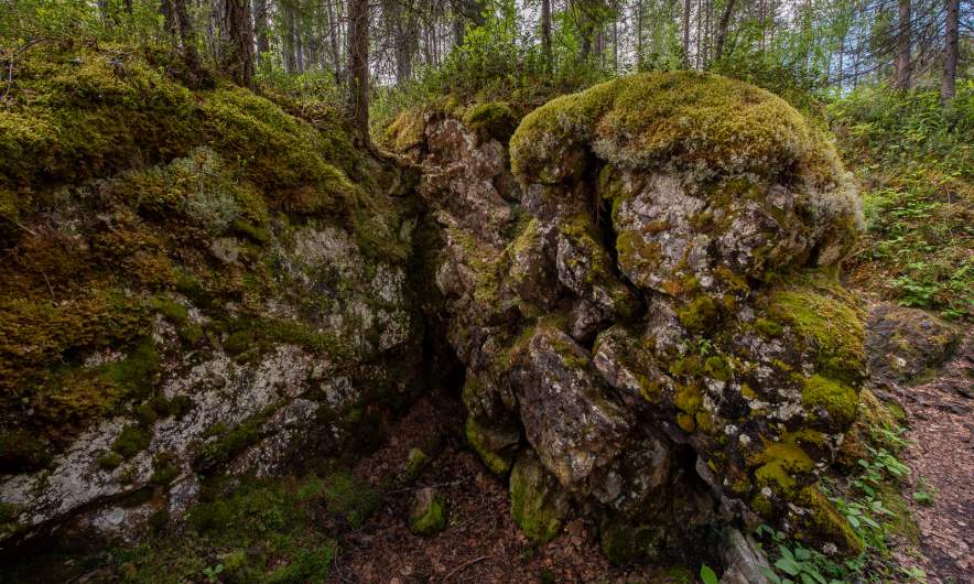 Oulanka National Park IV
