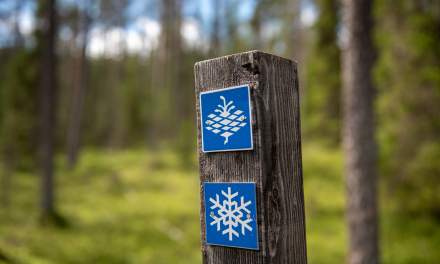 Oulanka National Park VII