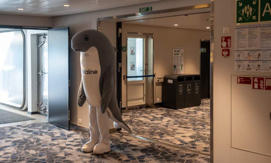 Wasaline shark