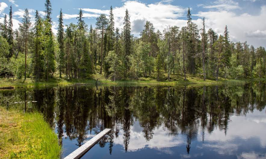 Ylimmäinen Hiidenlampi I