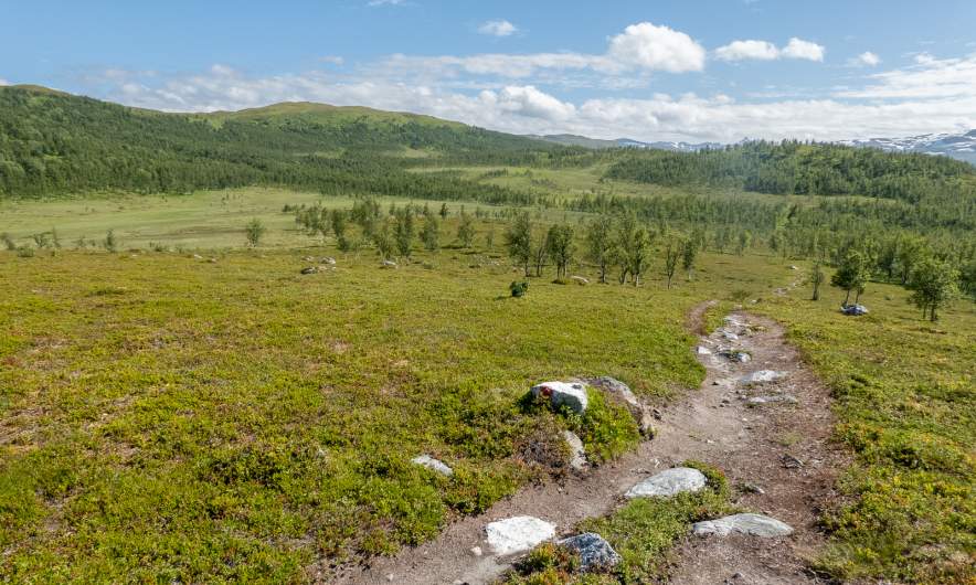 Plateau