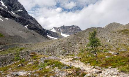 The track to the glacier