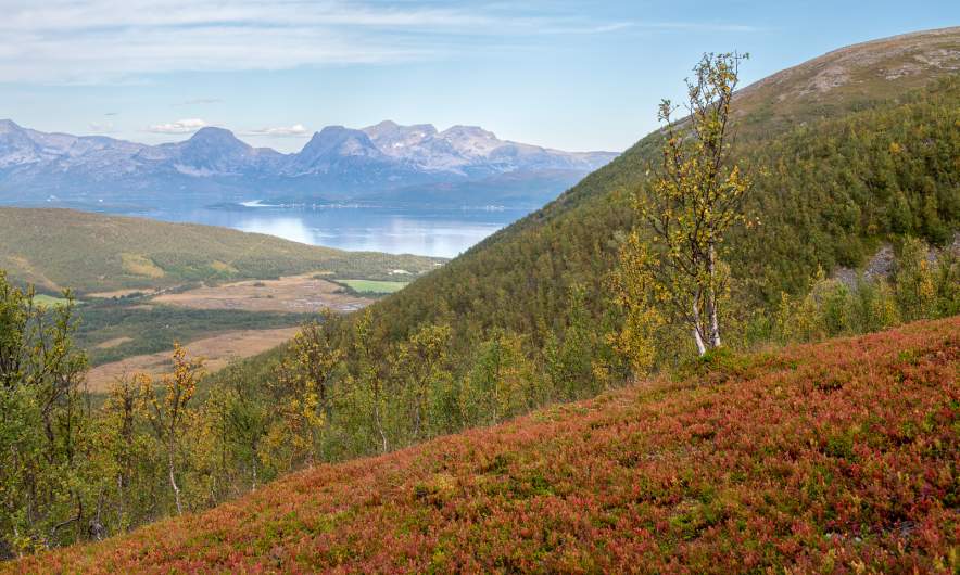 View from the autumn-coloured slope I