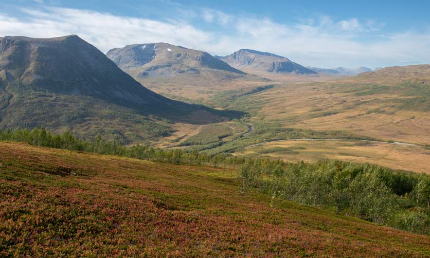 View from the autumn-coloured slope II