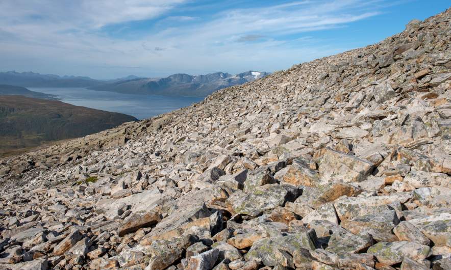 Boulder strewn slope I
