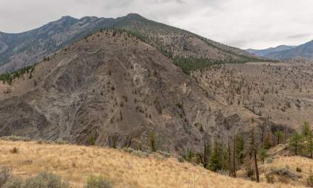 Fraser River canyon I