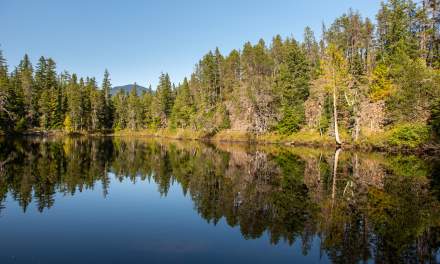 A short hike to a lake