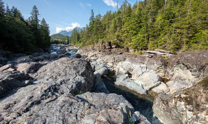 Kennedy river I