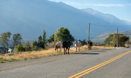On the road II