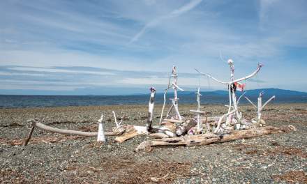 Parksville Community Beach II