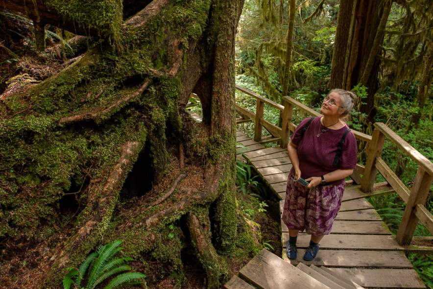 Rainforest Trail I