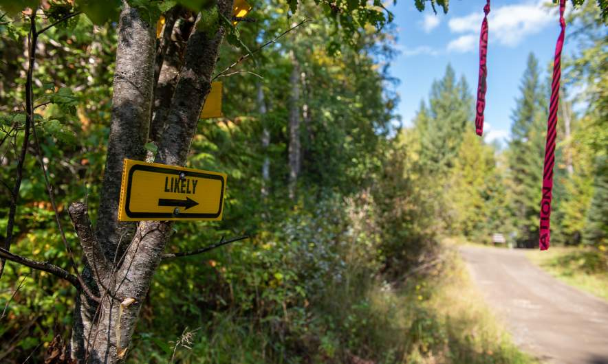 Side road to Likely I
