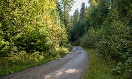 Side road to Likely II