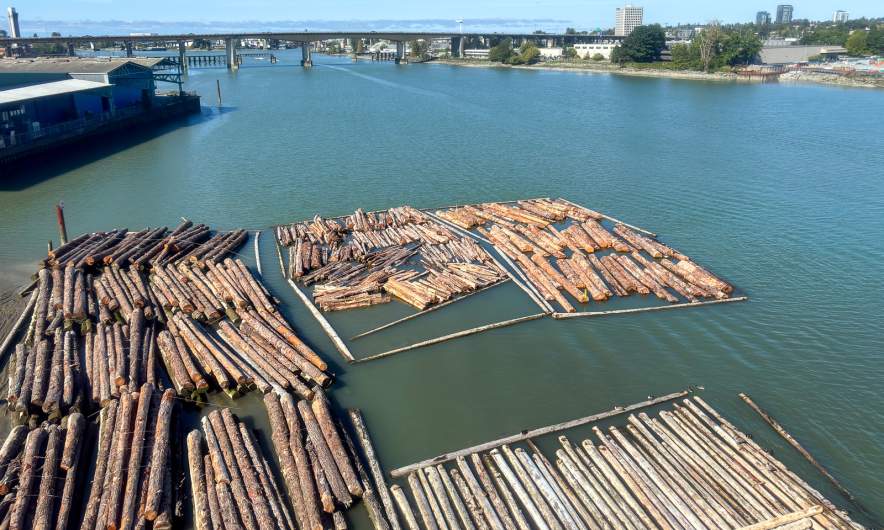 Trunks on the Fraser River