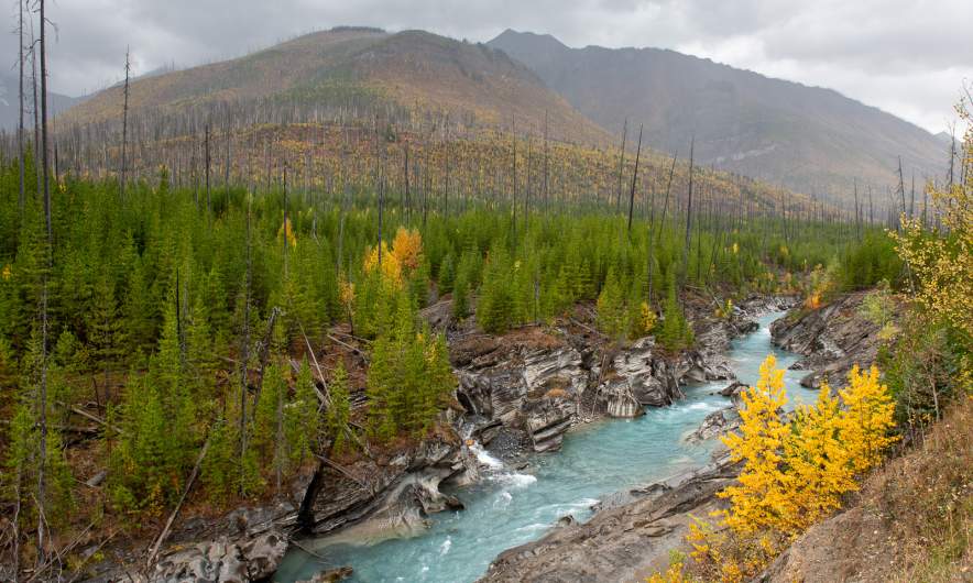 Bow river II