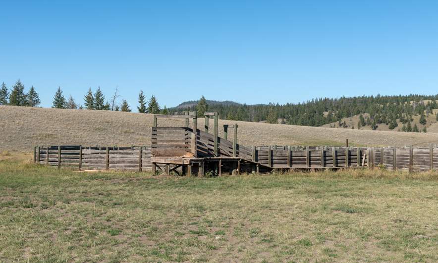 Cattle corral