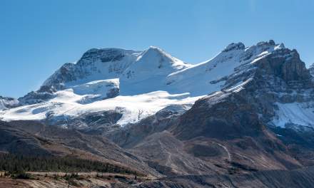 Columbia Icefield III