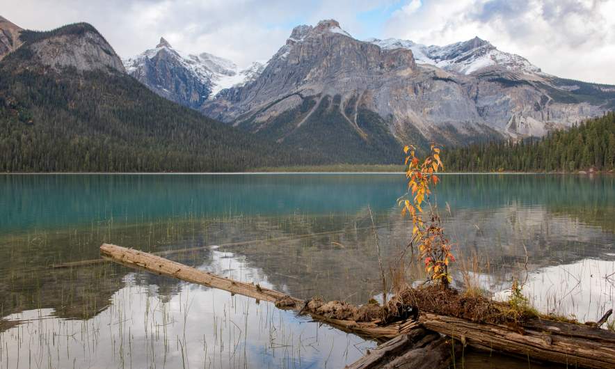 Emerald Lake IV