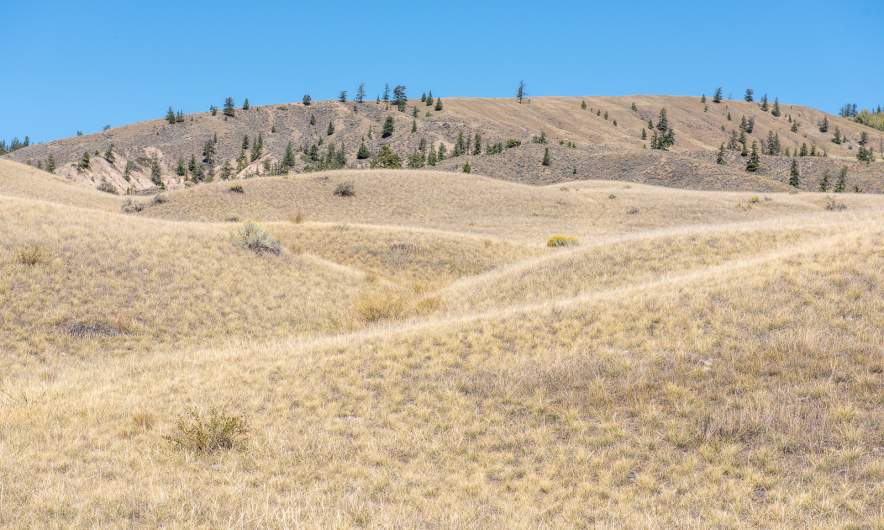 Farwell Canyon Sand Dune Trail II