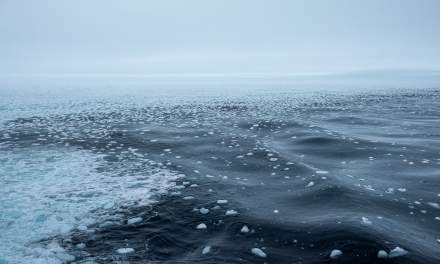From ice into open water